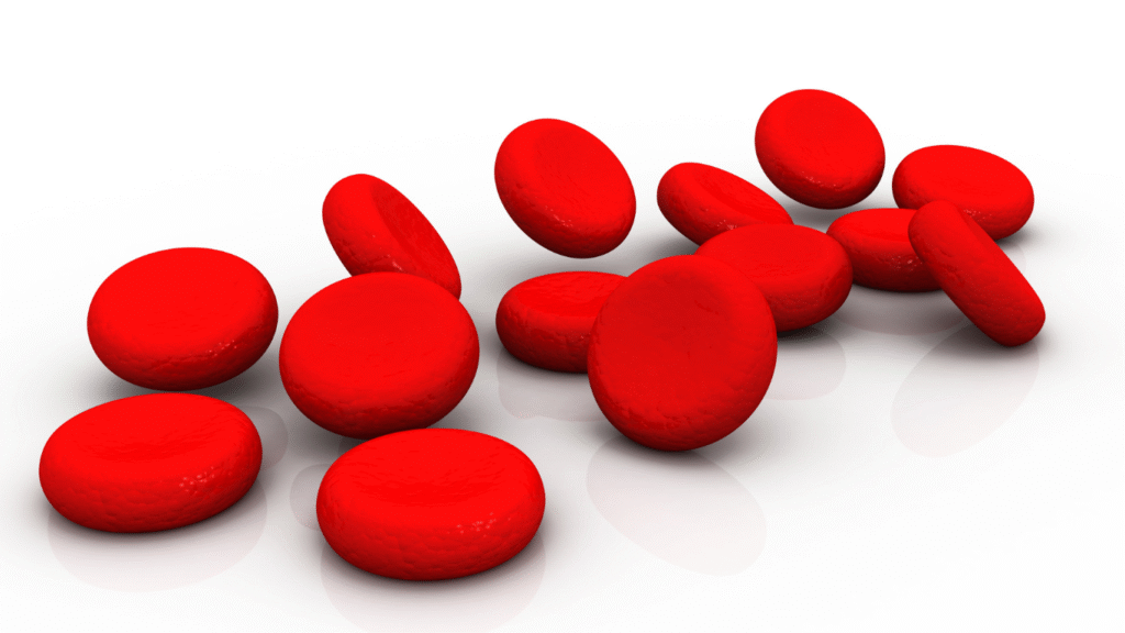 Diseño sin título (1)